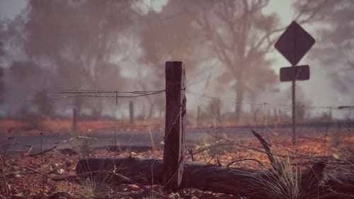 Fence in Field With Trees