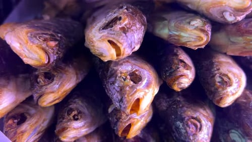 Delicious salted Russian dried fish for sale, seafood, tasty snack, 4K shot