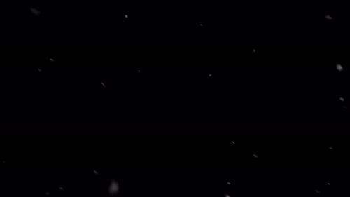 Snow Falling Side Foreground