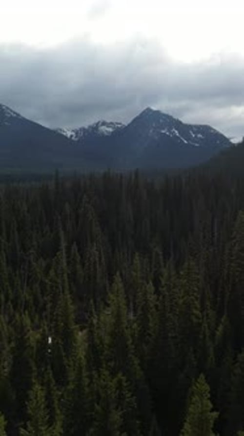 Snowy Mountain Forest Landscape. Cloudy Sky. British Columbia, Canada.