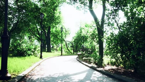 Serene Walk Through a Sunny Green Park Path