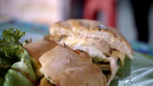 Close-up of street food sandwich served on plate