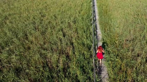 Aerial view of woman in red dress walking on wooden footbridge in reeds