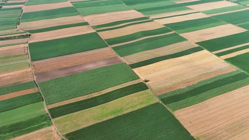 Aerial View of Agriculture Fields