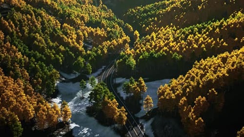 Uma vista panorâmica de uma estrada cercada por árvores Belo pôr do sol