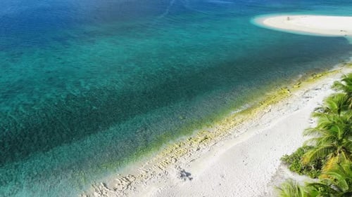 Maldives Islands Ocean Tropical Beach with Palms Aerial Drone View