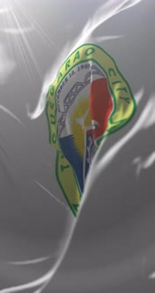 Realistic Waving City Seal Flag Vertical Animation