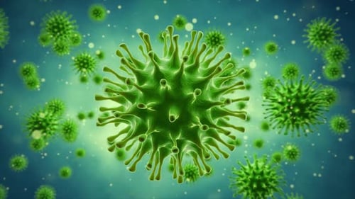 Virus