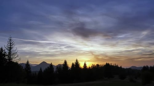Ciel théâtral au coucher du soleil avec des silhouettes noires d'arbres dans la forêt, des nuages pastel colorés, un timelapse