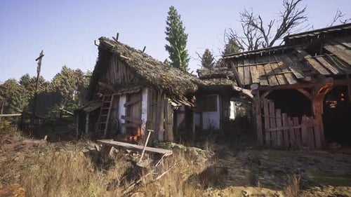 Abandoned Cabin in a Forest Under Daylight with Natural Scenery