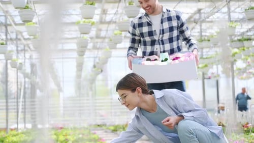 Couple Examining Flowers in a Sunny Greenhouse