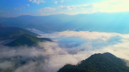 Aerial view over heavy fog in a tropical forest at sunrise