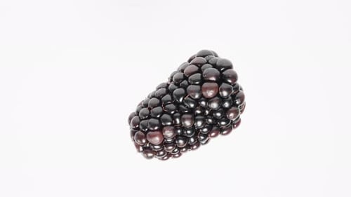 A solitary blackberry rotates on a white background. The shot is in close-up, isolated view.