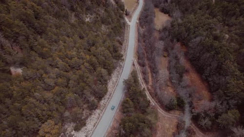 Car Drives Through Forest on Rural Road
