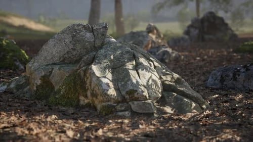 Natural Rock Formations in a Peaceful Forest Setting During Daylight