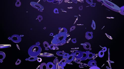 International Womens Day Loop