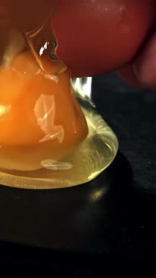 The Broken Egg Falls Into the Pan Filmed on a Highspeed Camera at 1000 Fps