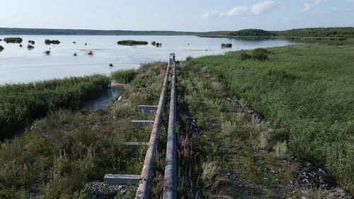 the Plant Pollutes the Lake