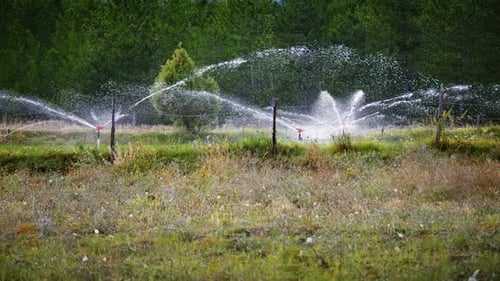 Irrigation for Farming (4K)