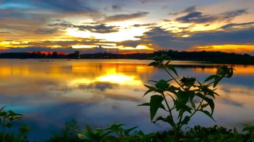 The beautiful sunset over the calm waters of the lake makes for a perfect view