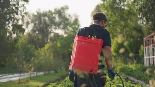 Back View Farmer Fumigating Crops with Mask and Backpack