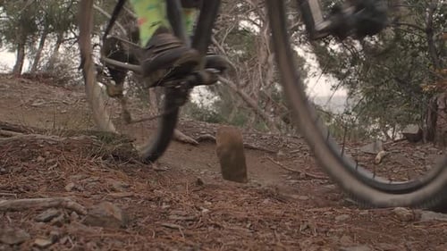 Slow Motion of a Detail of the Wheels of a Mountain Bike Going Down a Dirt Road Mtb Concept