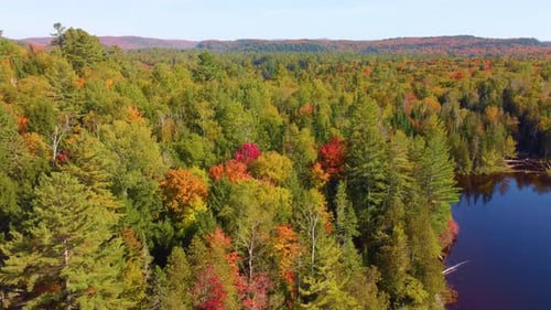 Bird's eye view of the dense Canadian forests on the shores of a large lake.