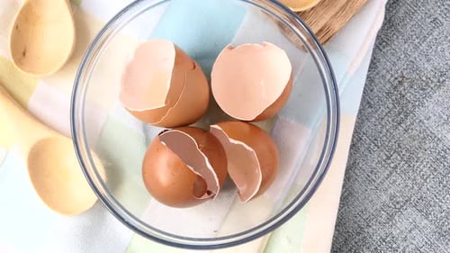 Eierschalen in einer weißen Farbschale auf dem Tisch