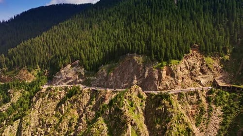 Scenic mountain road winding through lush forest landscape