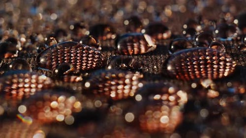 Captivating CloseUp of Glimmering Water Droplets on a Textured Surface Showcasing the Intricate