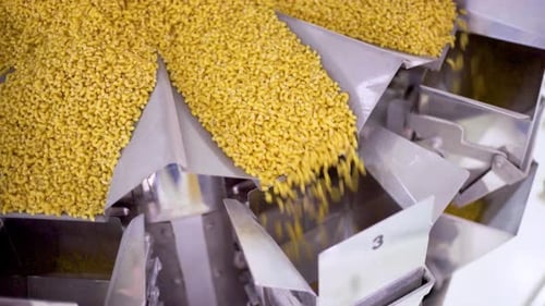 Modern pasta factory. Close-up of dry pasta pouring out of a unit in a modern food productio