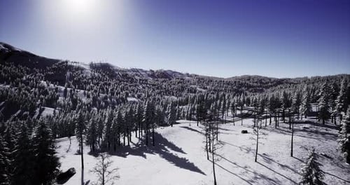 Drone Flyover of Snowy Winter Forest Mountain Landscape