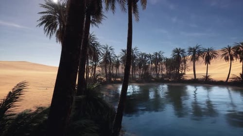 Overhead Perspective Revealing Radiant Oasis Amid Soft Waves and Glow