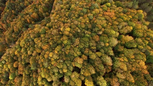 Les couleurs des montagnes en automne »