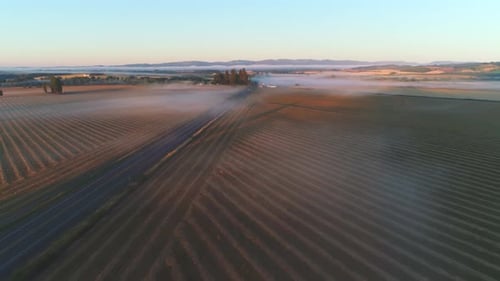 Aerial View of Beautiful Farm Land at Sunrise in Oregon, USA
