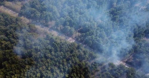 Wildfire aerial footage. Forest fire.