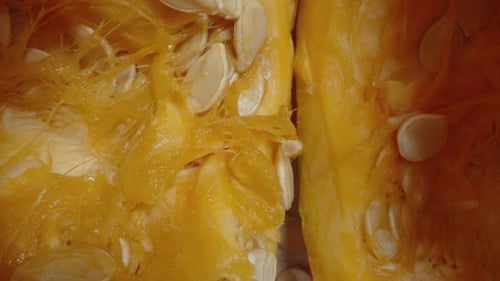 Calabazas de Hokkaido, cortadas por la mitad, con la cámara en su interior capturando un primer plano de las semillas. Dolly.