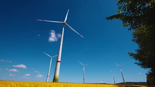 Several wind turbines rotate in the blue sky. Yellow flowers blooming in the field. Low angle view.