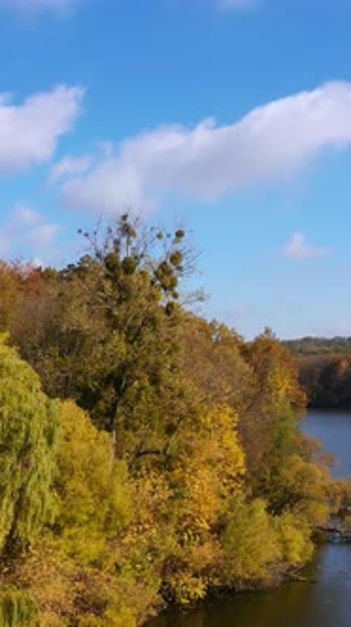 Belle journée d'automne ensoleillée en dehors de la ville. Paysage boisé au bord de l'étroit canal fluvial.