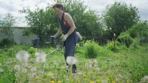 Worker and mower. Man uses a gasoline trimmer to mows a green grass in the garden