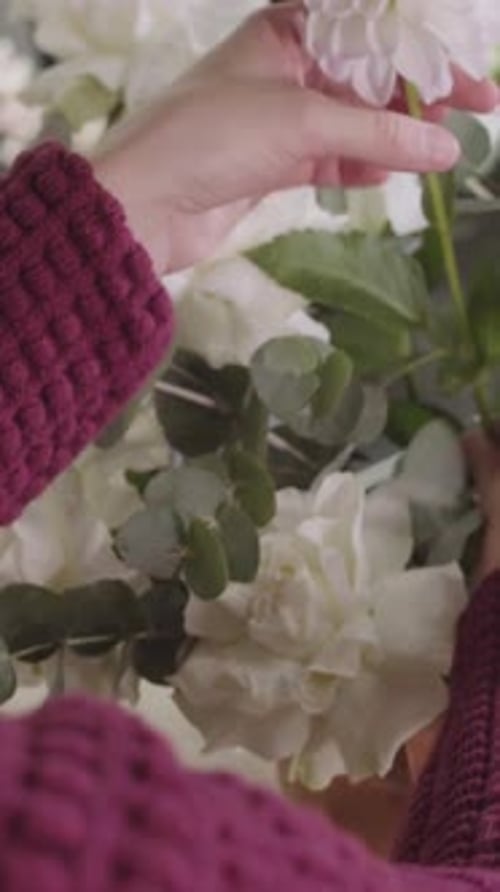 Woman Arranging Elegant White Flowers in the Home
