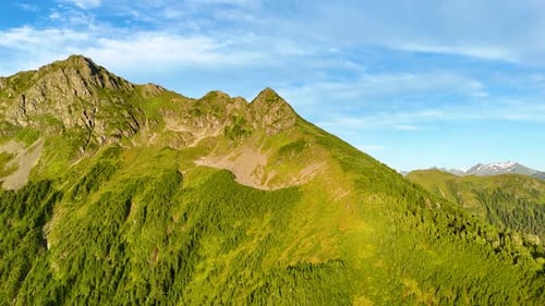 Aerial view of mountain range covered with trees, United States.