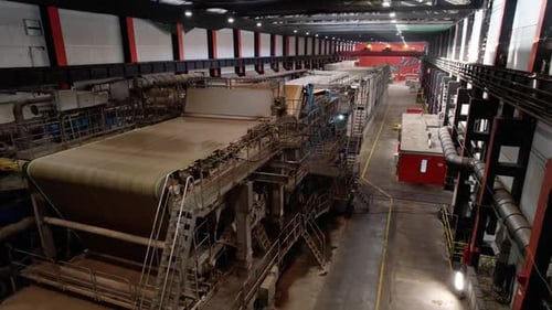 Spacious Workshop of Cardboard Plant with Conveyors for Drying