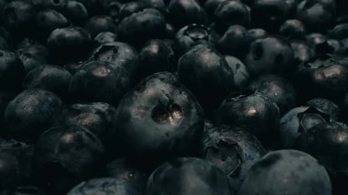Extreme Macro Blueberries Background Fresh Ripe Summer Organic Berries Harvest