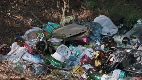 Garbage Dump in Forest Environmental Pollution