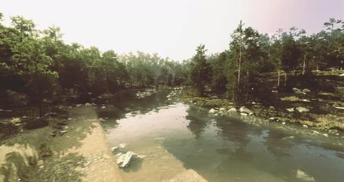 Serene Riverbank View Surrounded By Lush Greenery and Tranquil Waters