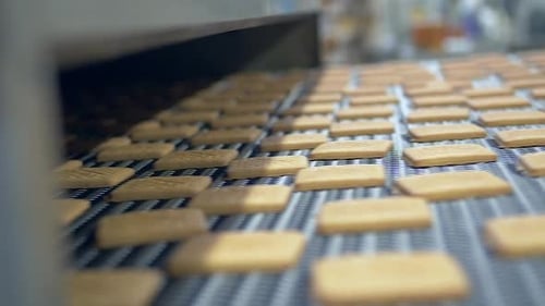 lots of square cookies on the conveyor belt