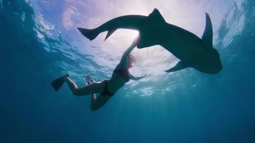 Woman Swimming with Shark in the Ocean