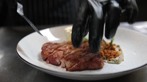 chef cook delicious meat in restaurant