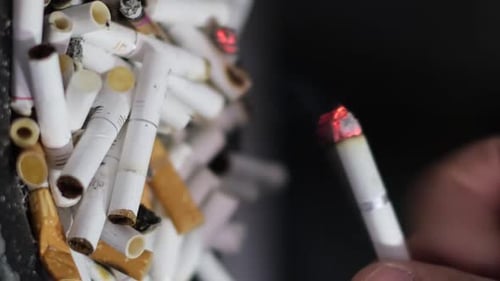 A Man's Hand Presses a Cigarette Butt A Large Number of Cigarettes Vertical Video